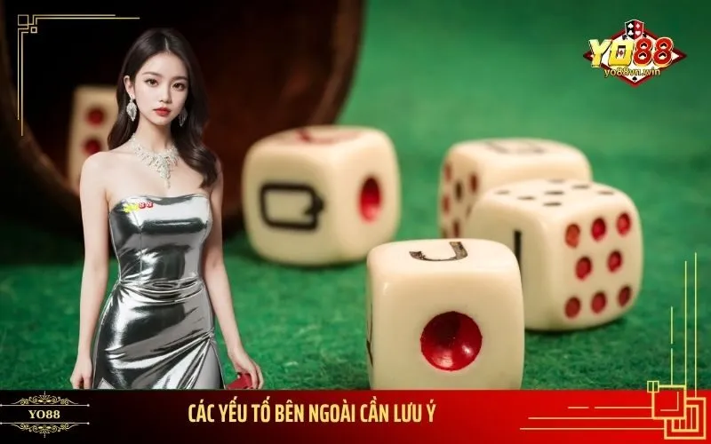 Các Yếu Tố Bên Ngoài Cần Lưu Ý