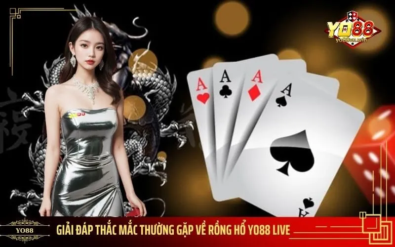 Giải đáp thắc mắc thường gặp về Rồng Hổ Yo88 Live